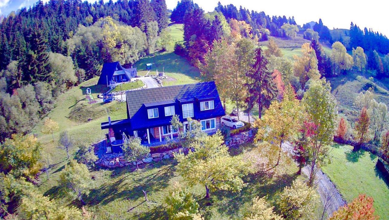 Doinita House Villa Borsa  Exterior photo