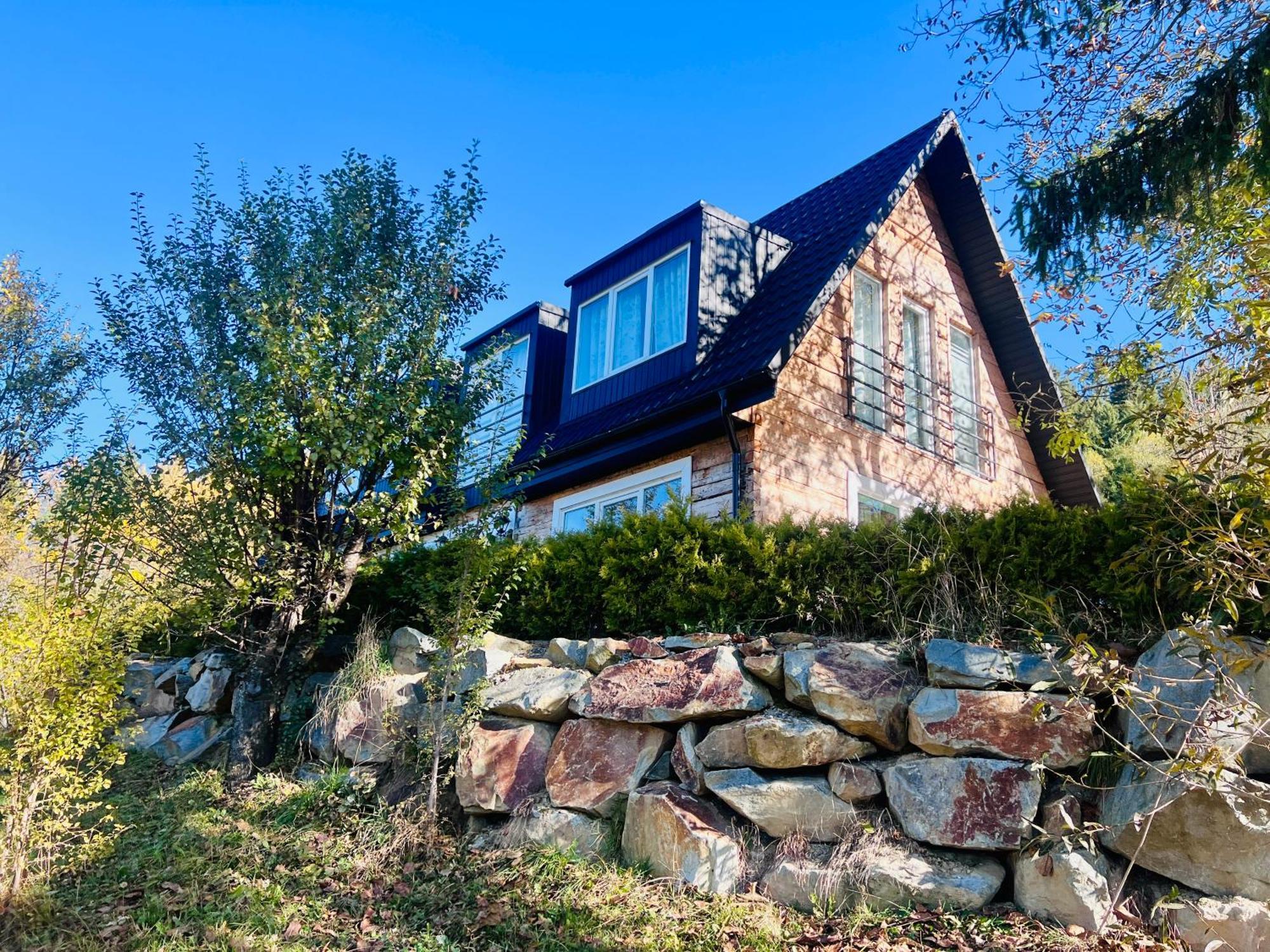 Doinita House Villa Borsa  Exterior photo