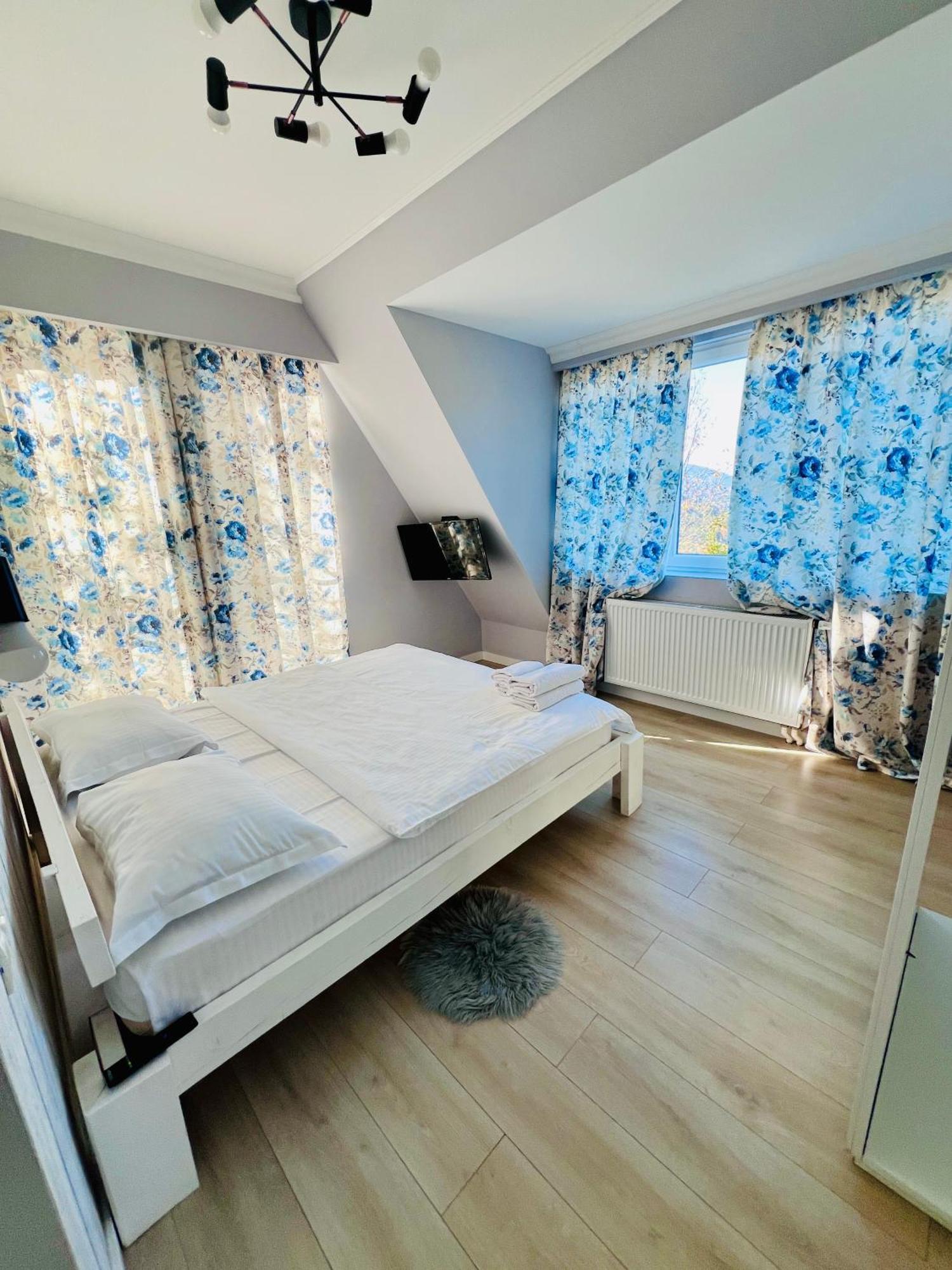Doinita House Villa Borsa  Exterior photo